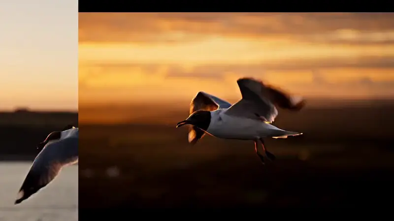 Standbild aus dem Video „Aufnahme“